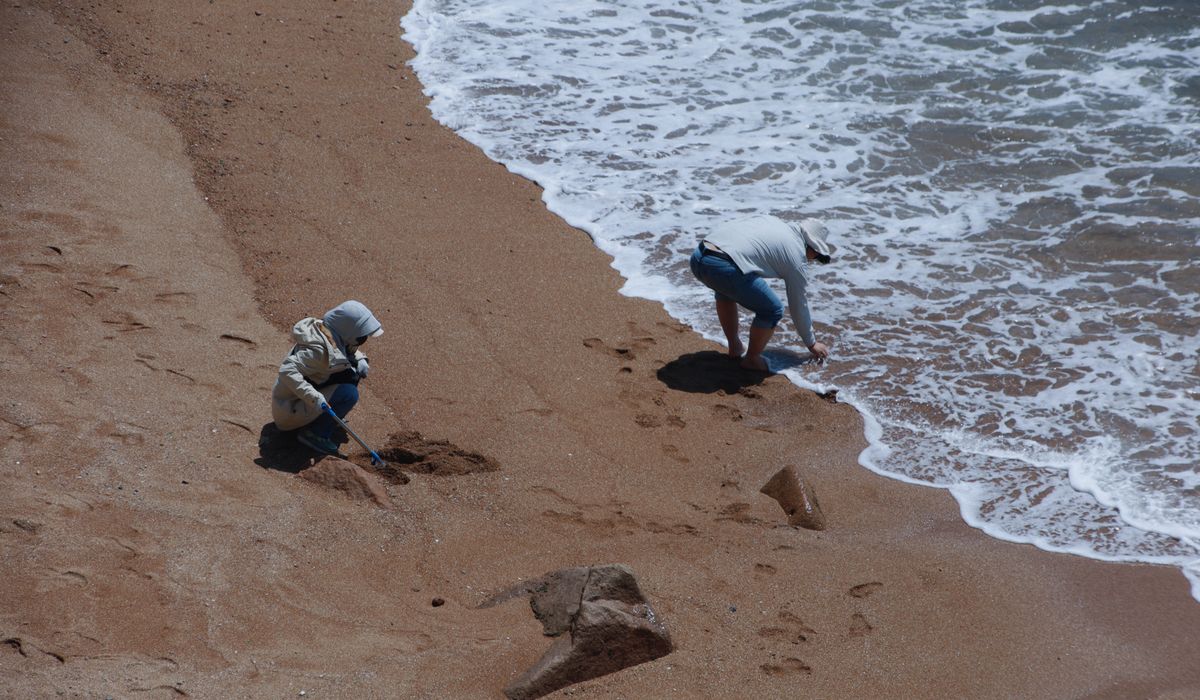 Beachcombing for Sea Glass and Pottery