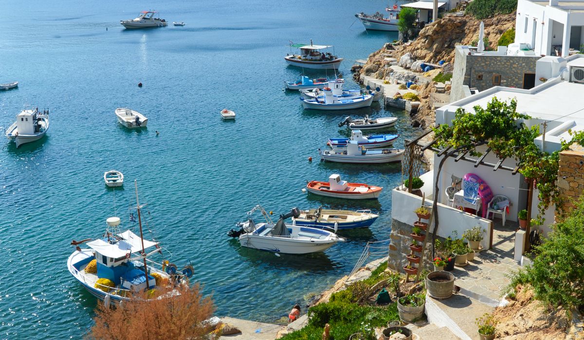 Creating a Wildlife-Friendly Coastal Garden