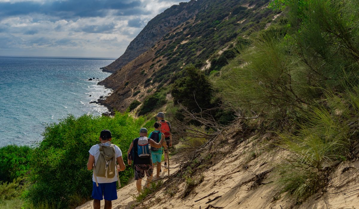Spotting Seabirds Along Cliffside Nature Reserves