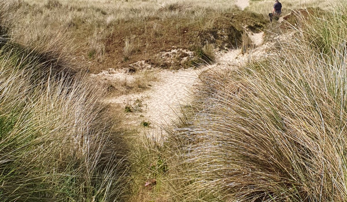Understanding Tides for Better Sea Fishing Sessions